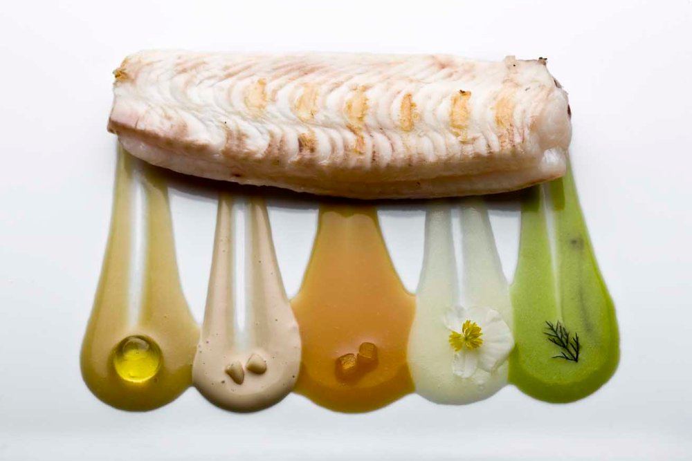 100203_Roca Celler de Can lenguado_W2I0312