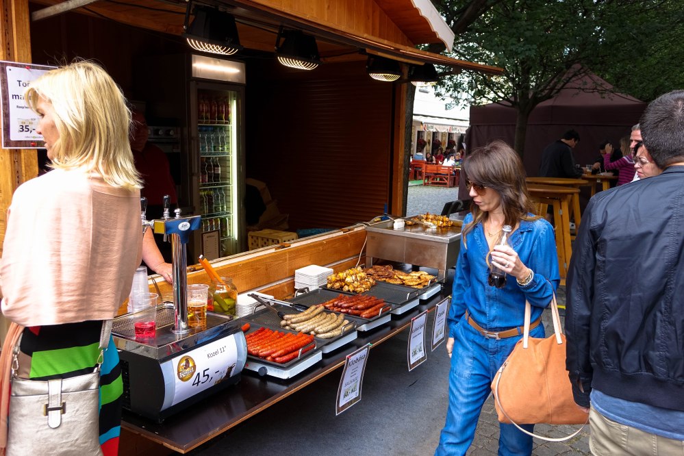 st. charles bridge-20