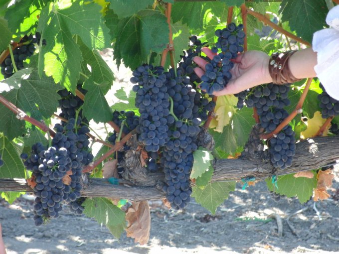 tumblr_kpkrmrmrNl1qz4ylno1_1280