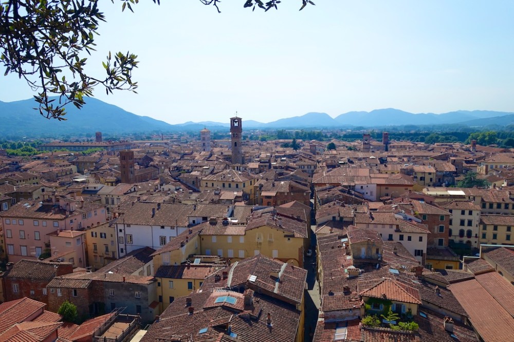 lucca1 653