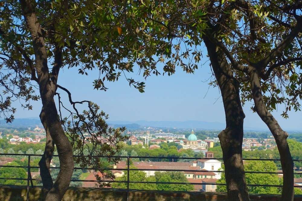 lucca1 656