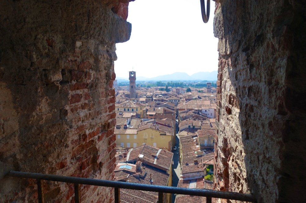 lucca1 658
