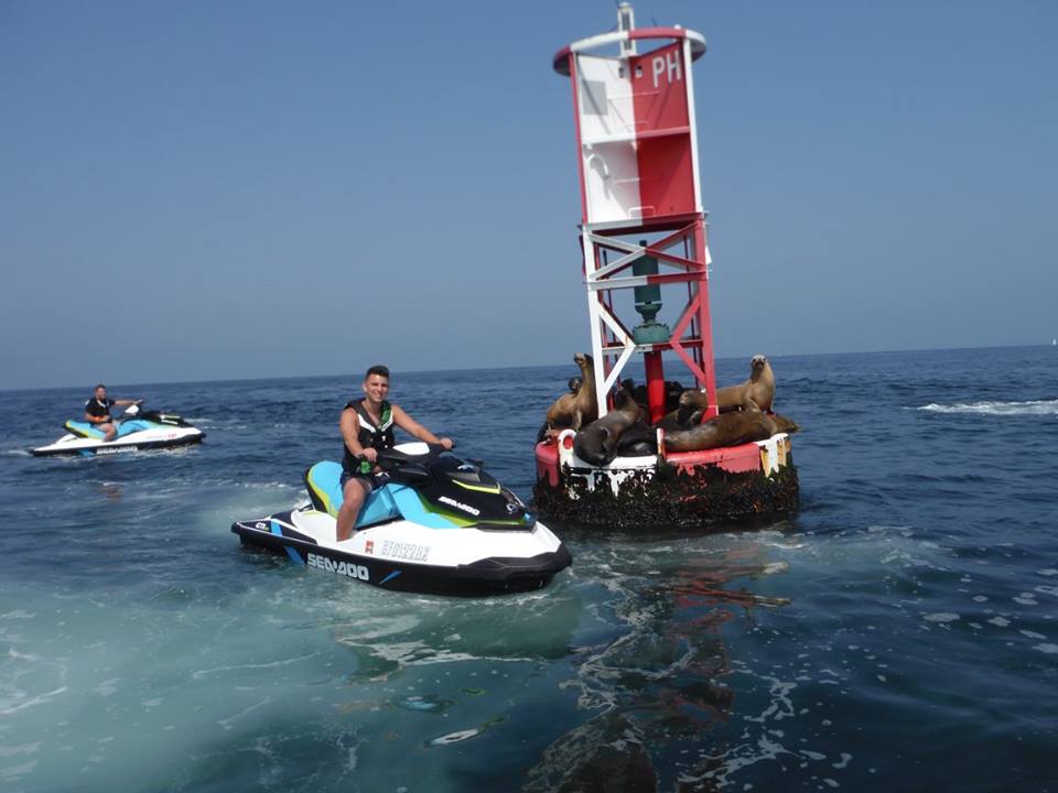 13903175_1116086335128474_5382339104078719625_n