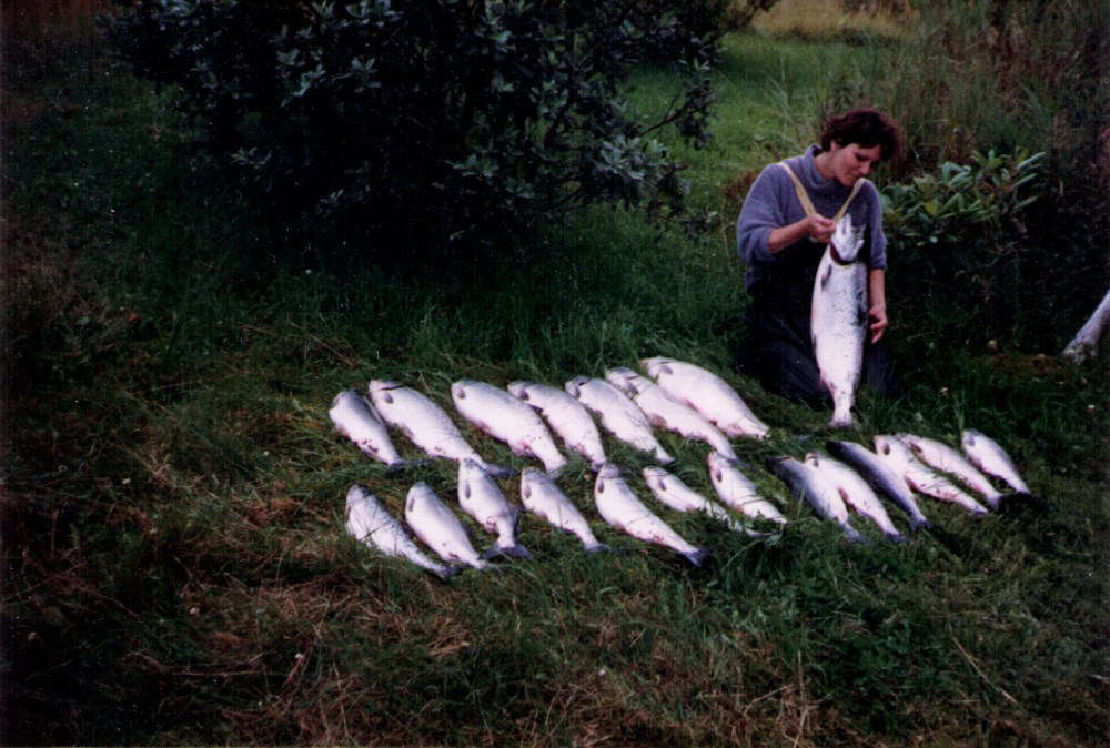 Mom&amp;salmon
