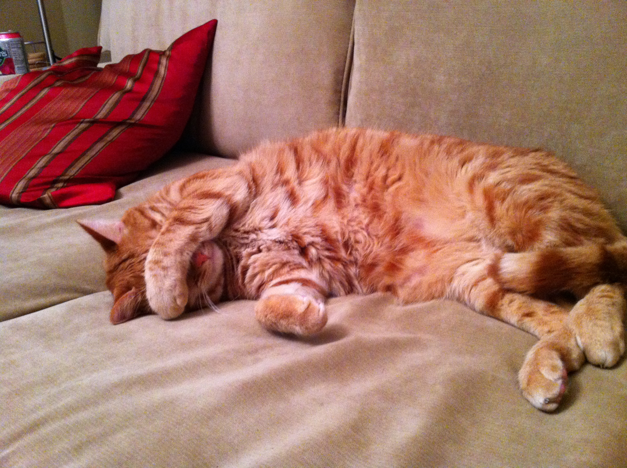 293DD6B5-123A-493D-9A2C-533785B28821